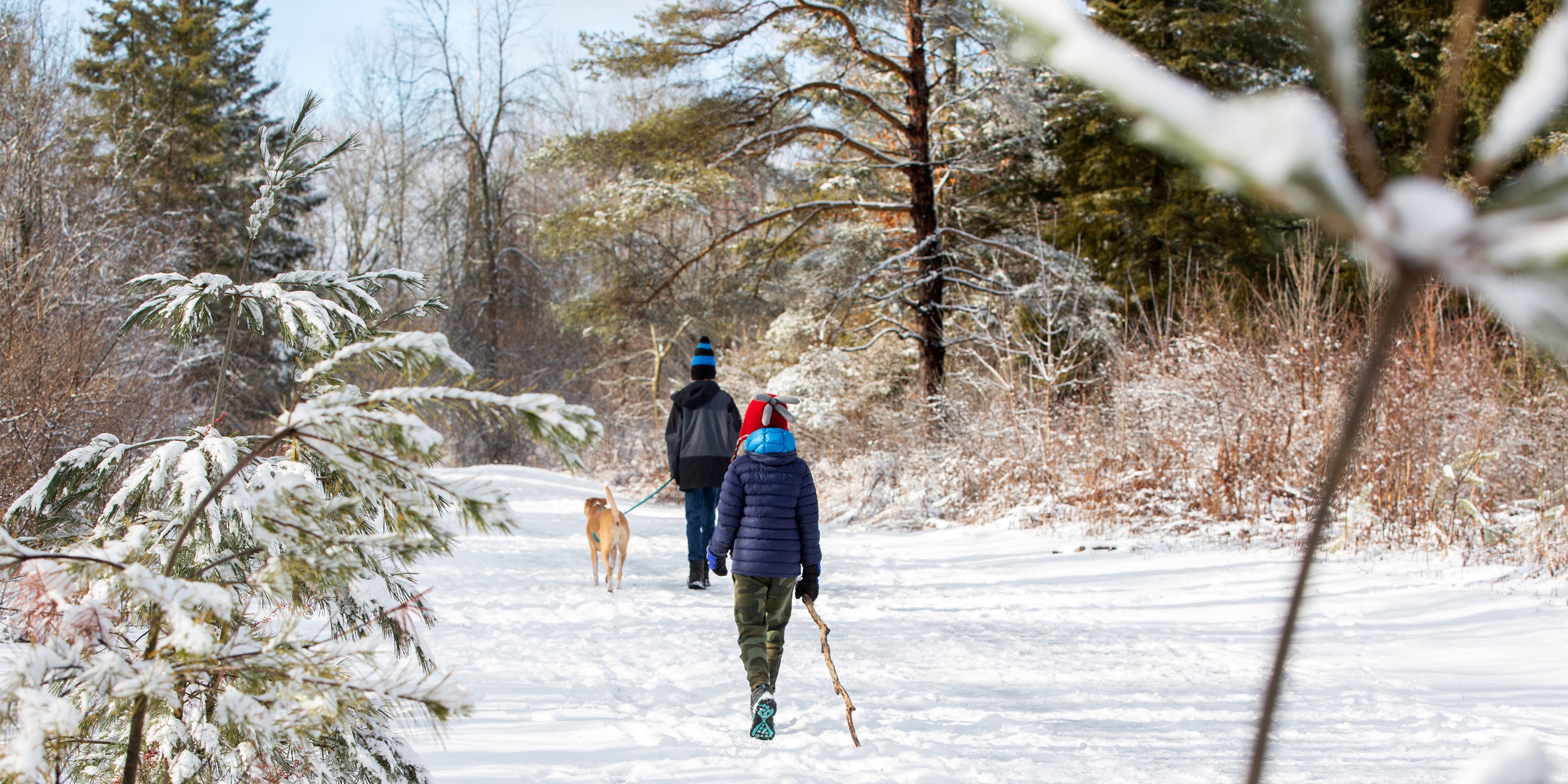 People walking on trail in winter